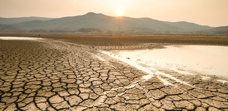 Terreno spaccato dalla siccità